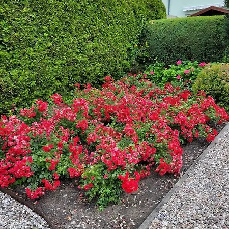 Дом отдыха Happyfugu Letniskowe Мендзыздрое