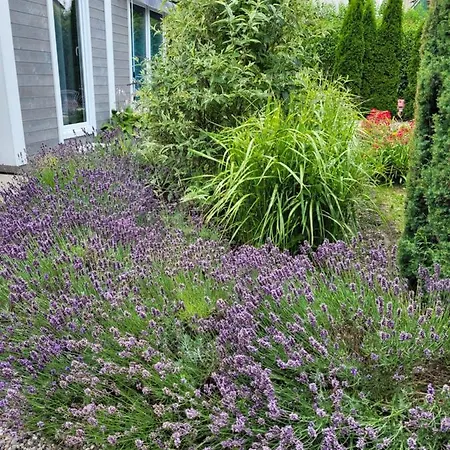 Happyfugu Letniskowe Vakantiehuis Miedzyzdroje